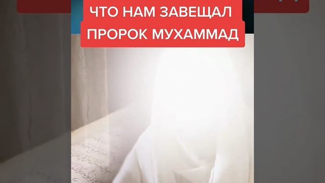 Что нам завещал пророк Мухамад В Турции в ноябре 2022 землетрясение смотреть онлайн