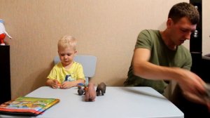 Деагостини Животные дикой природы De Agostini