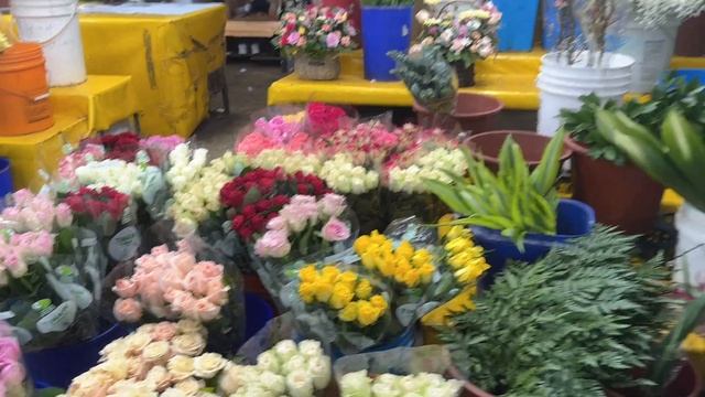 Цветы в Корее • Торговый центр Цветов • 대구 꽃 백화점 смотреть онлайн