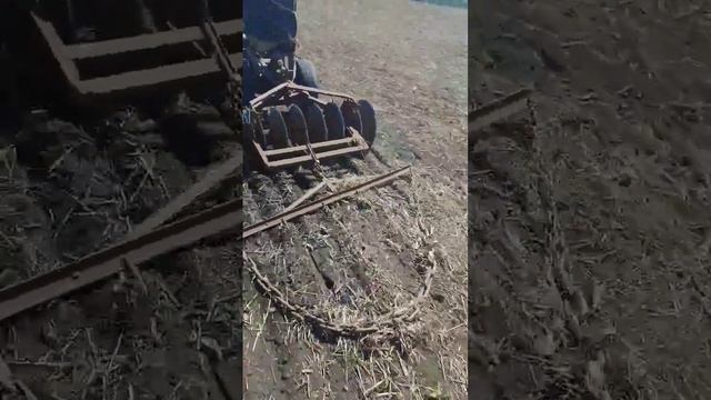 Заделка семян люцены мотоблоком. #мтз #мотоблок #сельскоехозяйство #трактор #тренд #asmr смотреть онлайн