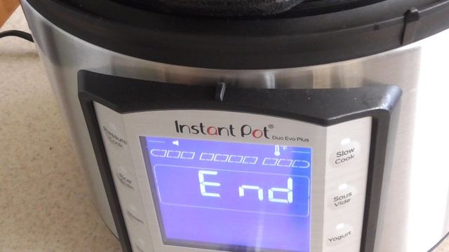 Sous Vide Steak Instant Pot Duo Evo Plus HSN Kitchen HQ Grill & Griddle