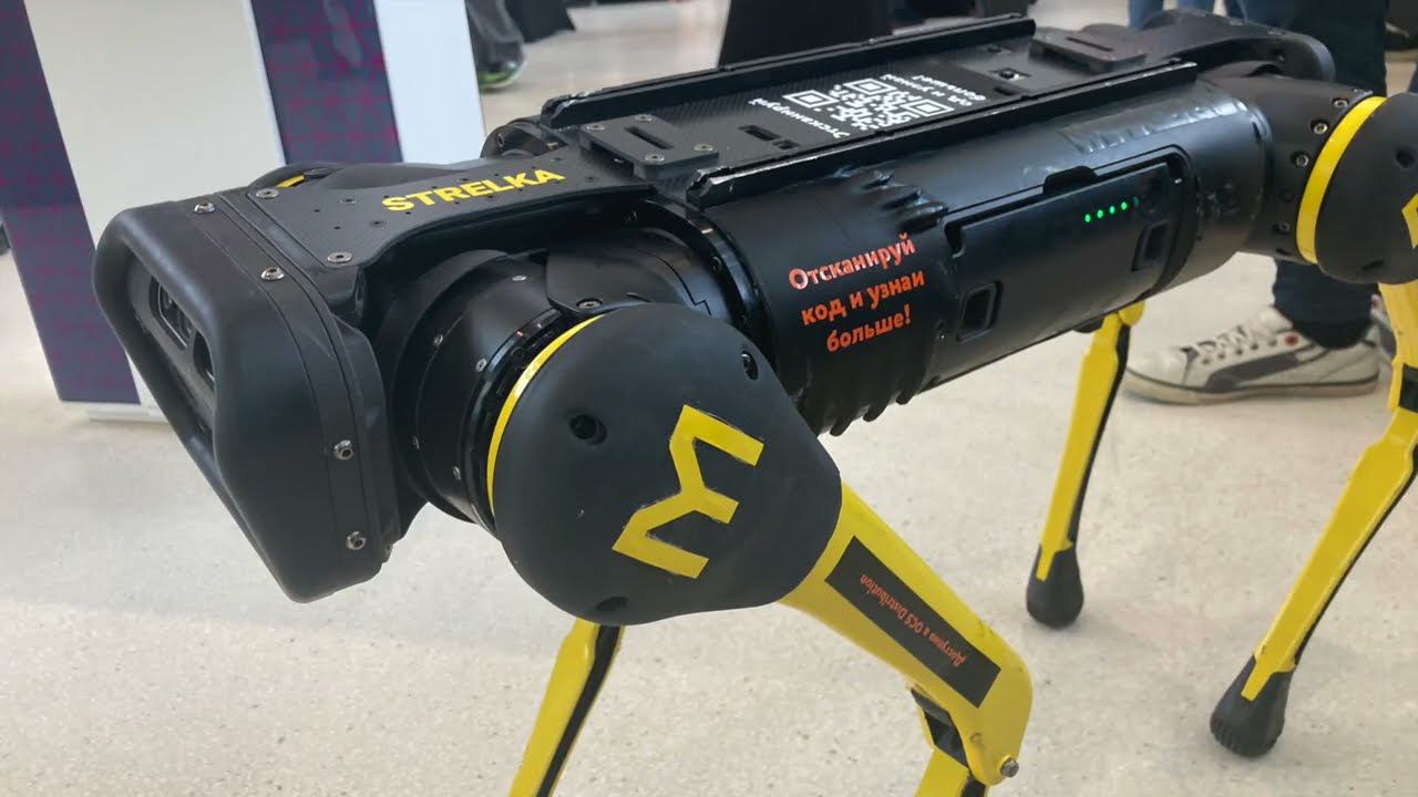 Обзор робособаки Unitree Белка и Стрелка