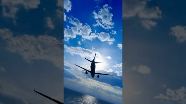 Летчики устраиваются в контору смотреть онлайн