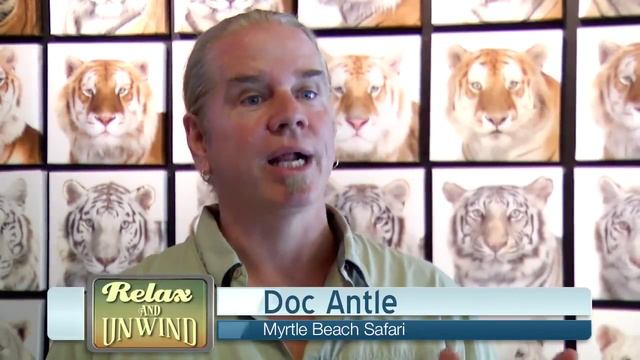 T.I.G.E.R.S. Myrtle Beach Safari смотреть онлайн