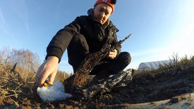 Наезд продавца дома русских немцев, принимаем меры. Почему скрыл ролик? Саженцы приехали! смотреть онлайн