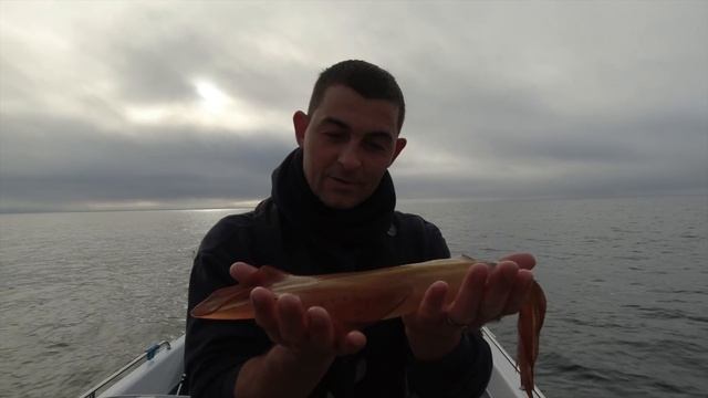 Sea Fishing UK - Fantastic Lure Fishing and exploring Deep Sea Wrecks | The Fish Locker смотреть онлайн
