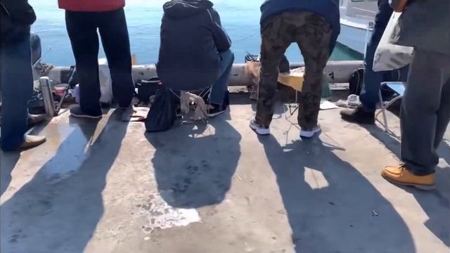 Рыбалка в Ялте на набережной имени Ильича смотреть онлайн