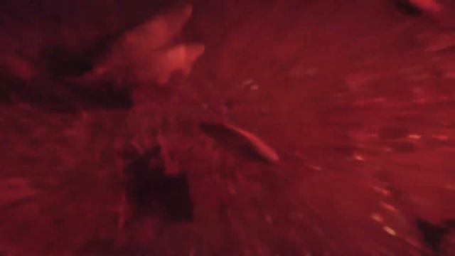 рыбки в цистерне смотреть онлайн