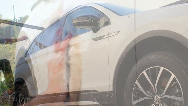 CARPRO DETAIL WASH | Расслабляющая детейлинг мойка Volkswagen Tiguan за 8 часов. Как я мою машину? смотреть онлайн