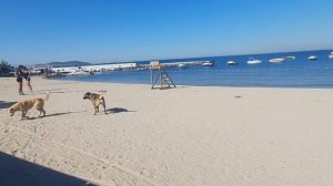 ? Пляжи в Стамбуле /Отличная погода в Стамбуле ,где много долгожителей