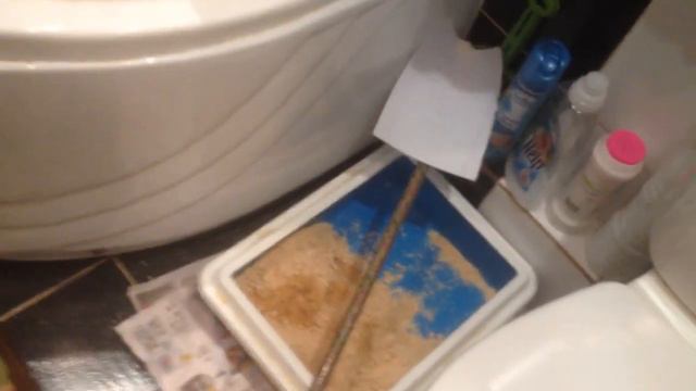 ШОК !! У Дзена есть девушка ! смотреть онлайн