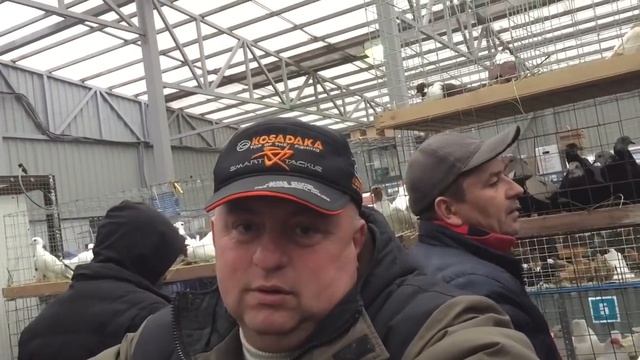Ярмарка голубей в городе Москва 27.10.2018 г смотреть онлайн