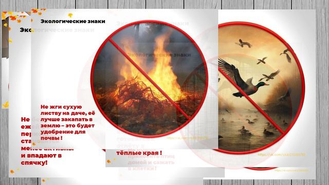 Знаки по экологии смотреть онлайн