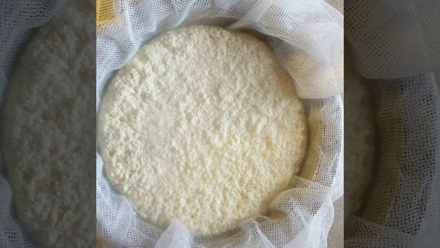 Домашний сыр. Быстро и вкусно смотреть онлайн