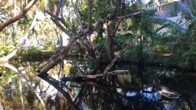 Dominican Republic, Las Galeras смотреть онлайн