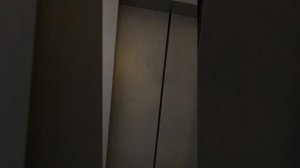 Страшный звук пребывания! Музыкальный лифт щлз. Вместительность неизвестна. (Простите)