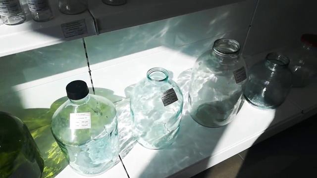 Бутыли для вина смотреть онлайн