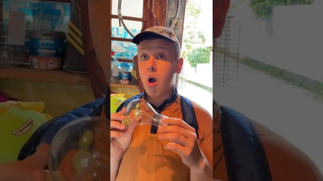 С ПАПОЙ В САРАЕ смотреть онлайн