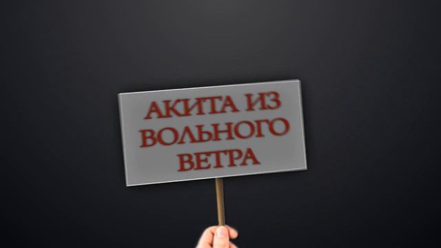 Эпаньоль Бретон Акита смотреть онлайн