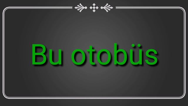 Bu kim? Bu ne? смотреть онлайн