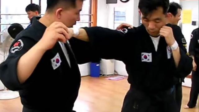 Gongkwon yusul instructor seminar training(1) (Korea jiu jitsu Hapkido) смотреть онлайн
