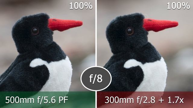 Teleconverters for Mirrorless Wildlife Photography | Nikon Z7 + 500mm f/5.6E PF & 300mm f/2.8G VR I смотреть онлайн