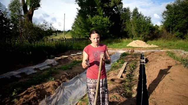 Что происходит в хозяйстве. Какое будет строение. Знакомство с диким котом. смотреть онлайн