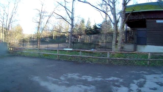 Прага#6 "Зоопарк" | Prague#6 "Zoo" смотреть онлайн