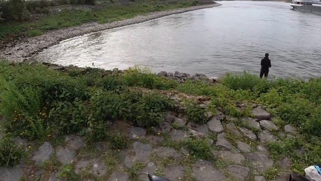 Судак, Окунь на сплит-шот. Рыбалка на Waal смотреть онлайн