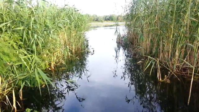 Озеро "Круглик"Херсон смотреть онлайн