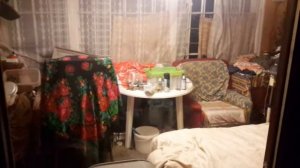 Лиса забралась ночью в дом.
