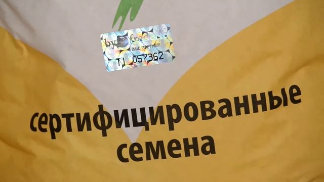 Сертифицированные семена ByFrederic смотреть онлайн