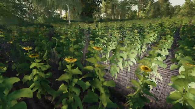 [РП] ОРЕНДОВАЛ ОПРИСКИВАТЕЛЬ И ПОЕХАЛ ОПРИСКИВАТЬ ПОДСОЛНЕЧНИК ОТ СОРНИКОВ!! смотреть онлайн