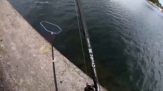 Где ловить жереха смотреть онлайн