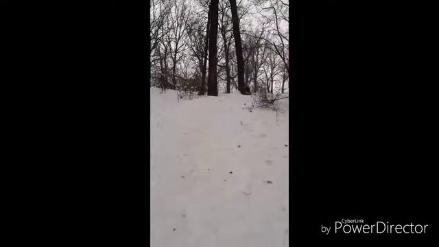 Котаемся с горки 2 смотреть онлайн