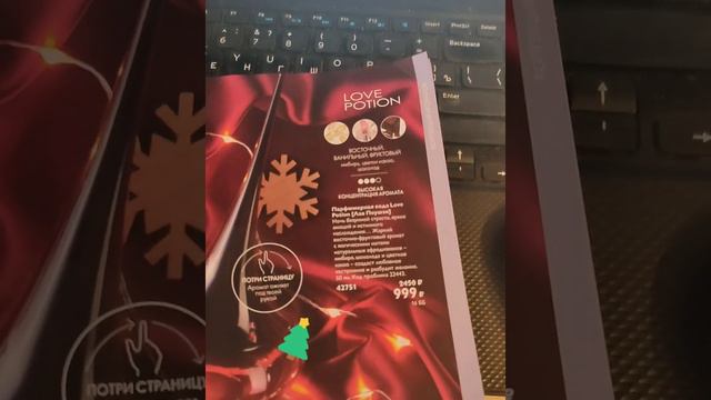 🌲🌲🌲🌲💫✨✨✨✨