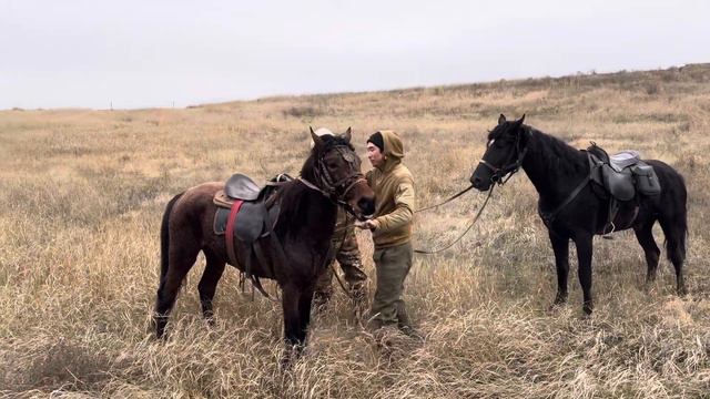 Куаныш берет высоту смотреть онлайн