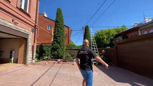 Стрижка туй. Топиарная стрижка на конус. Уходные мероприятия. смотреть онлайн