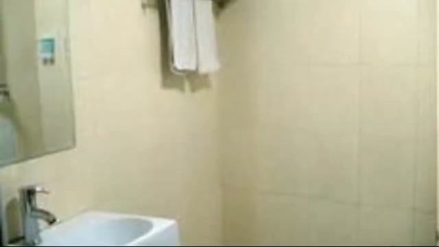 Green Tree Alliance Hotel (Beijing West Railway Station Square) смотреть онлайн