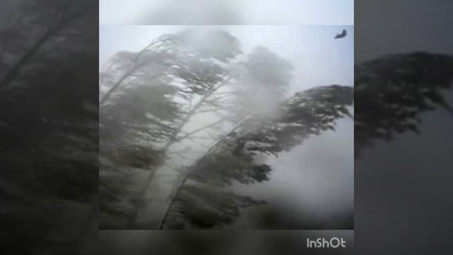 Тоголок Молдо "Жер жана анын балдары" смотреть онлайн