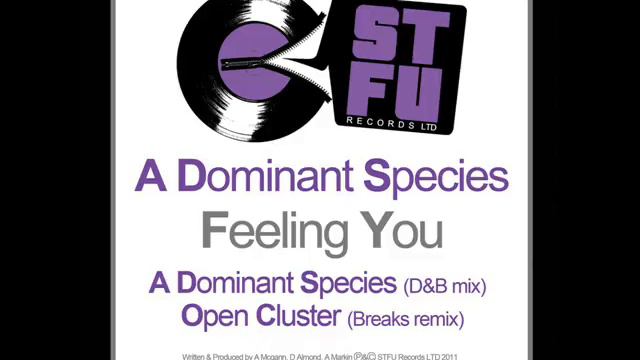 A DOMINANT SPECIES-FEELING YOU-OUT NOW смотреть онлайн
