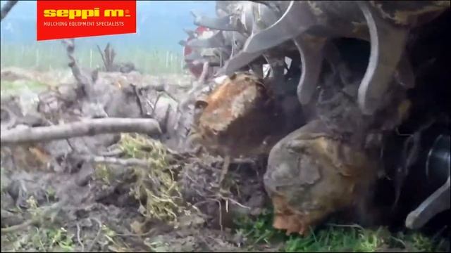 Работа навесного мульчера B20 для сбора материала в прицеп смотреть онлайн