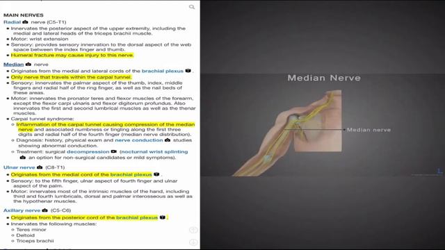 Orthopedic Surgery 1 of 2 - Complementary Med-School Video from Surgery Basics in 4D смотреть онлайн
