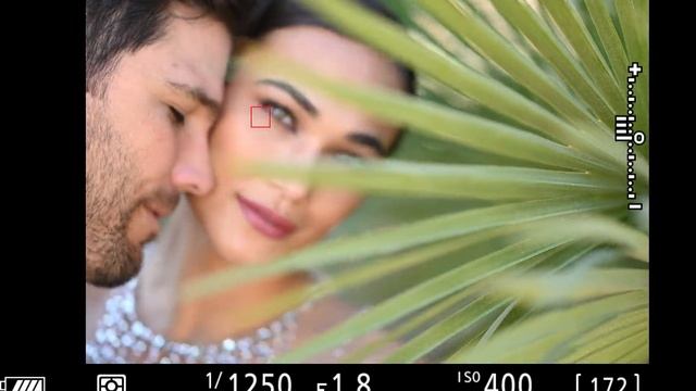 MWAL 09 - Lisa Dillon Open Shade.mp4