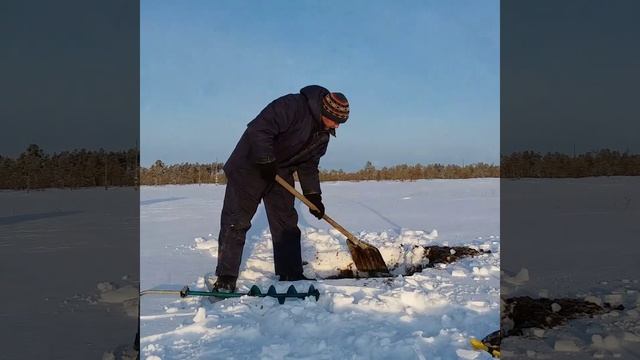 Один день из жизни в лесу.#1 Дрова. Сапропель. Рыбалка. смотреть онлайн