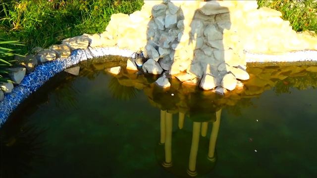 Собачья жизнь в Ялте БЕЗДОМНЫЕ ЖИВОТНЫЕ // Ялта на ЮТУБ / Жизнь в Ялте смотреть онлайн