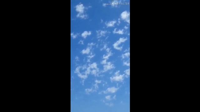 СТОЛБА ИГРАЮЩИЕ ВИНТОВЫЕ ГОЛУБИ || WORLD OF PIGEONS ||