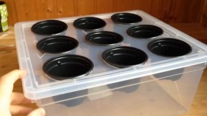 ГИДРОПОНИКА ДЛЯ ВЫРАЩИВАНИЯ КЛУБНИКИ СВОИМИ РУКАМИ.