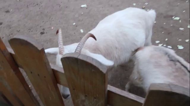 ВЛОГ ИЗ КАЗАНИ! то самое долгожданное видео❤️ смотреть онлайн