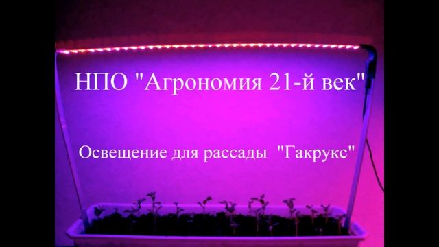 Лампа для досветки рассады "Гакрукс" от НПО "Агрономия 21-й век" смотреть онлайн